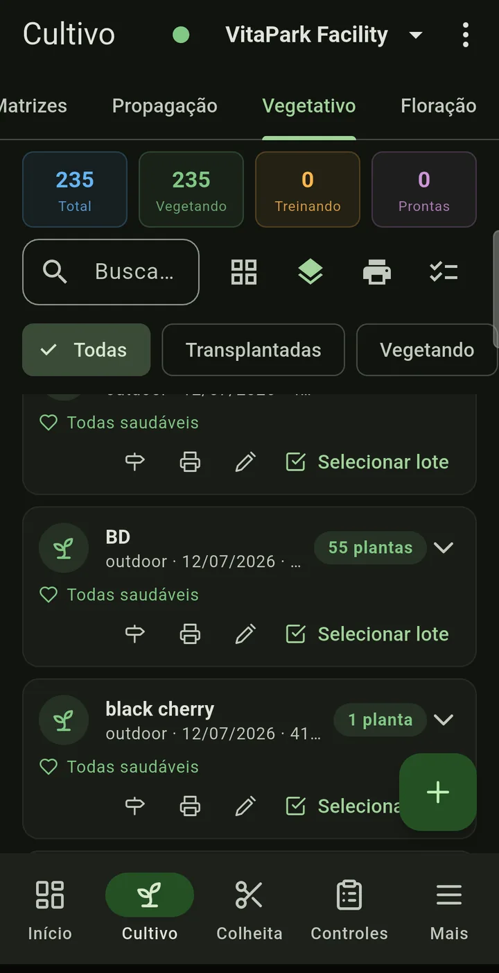 Lotes de vegetativo no celular com contagem de plantas por genética
