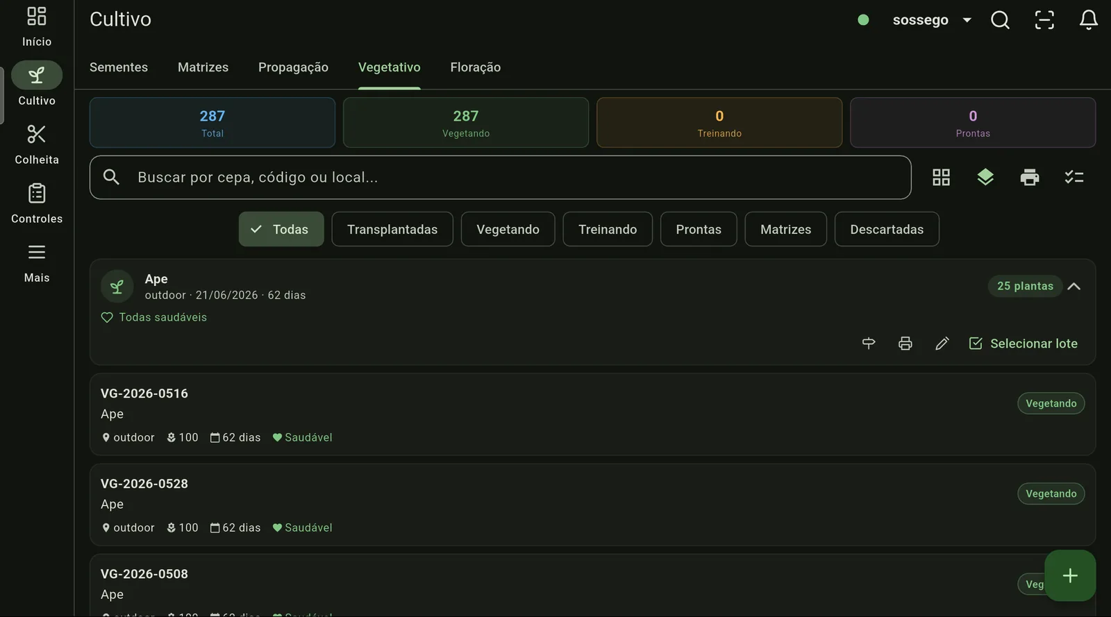 Lista de lotes em vegetativo no Cultivo, com contagem de plantas, sala, idade e estado de saúde